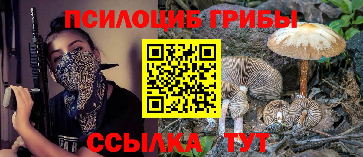 Галлюциногенные грибы Cubensis Славянск-на-Кубани