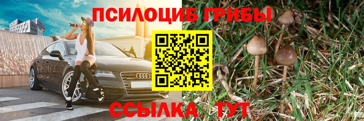 Галлюциногенные грибы MAGIC MUSHROOMS  Вход с VPN  Славянск-на-Кубани 